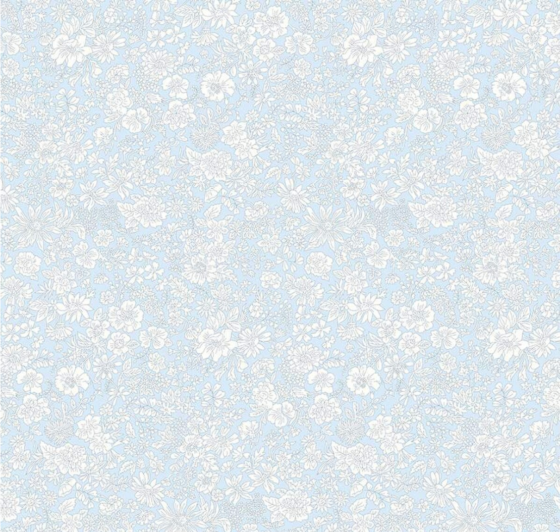 Emily Belle Pale Sky