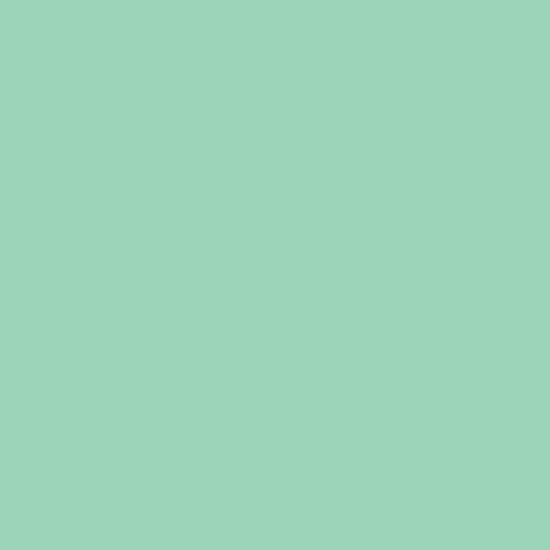 Pure Solids Seaglass PE591