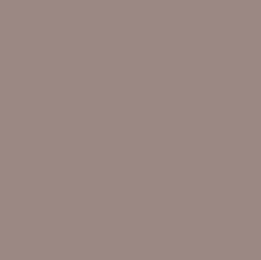 Pure Solids Potter's Clay PE507 170