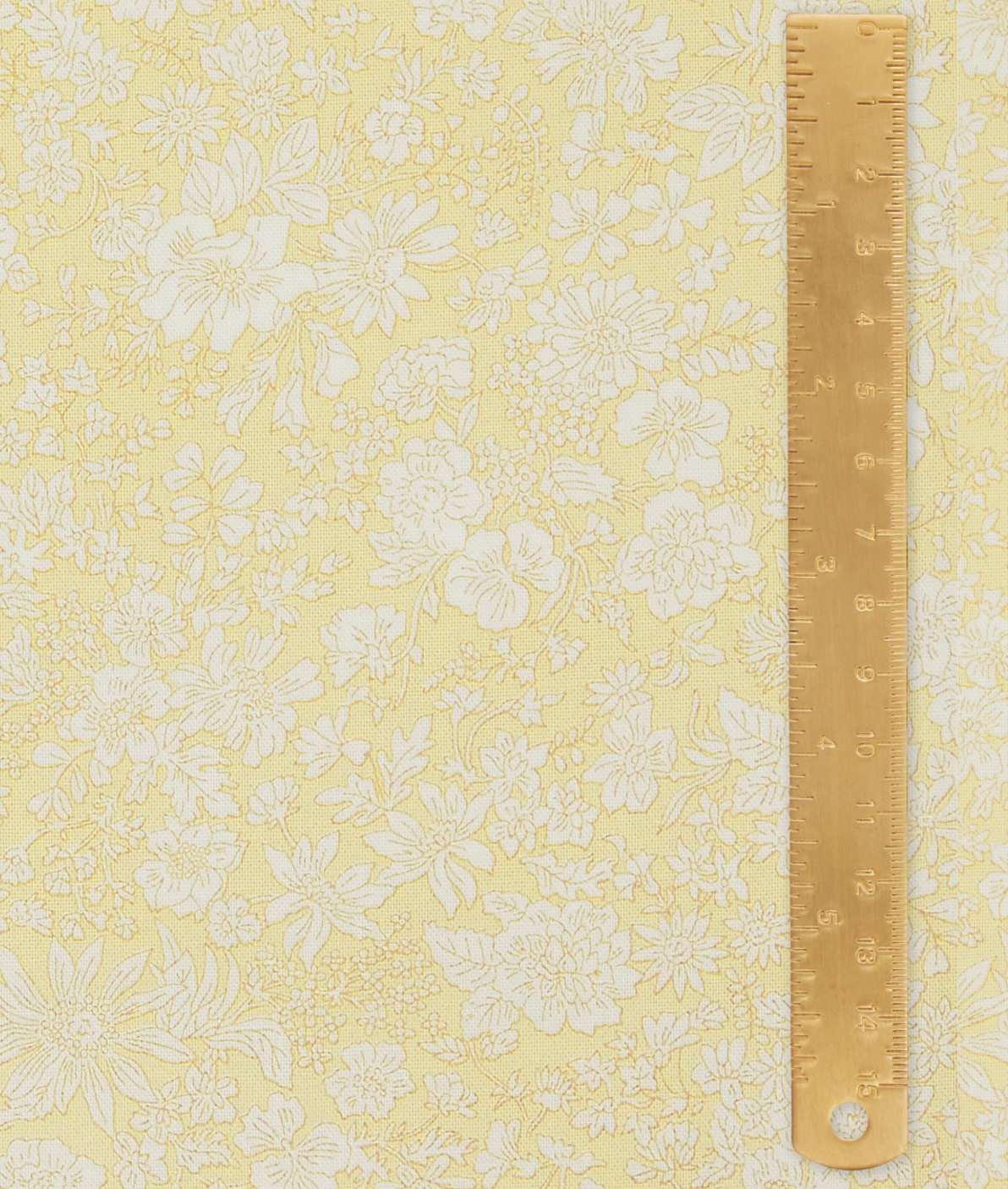 Emily Belle Magnolia